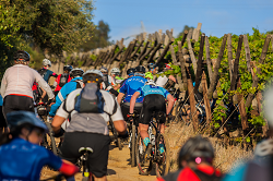 New-look Paarl MTB Classic ticks all the boxes